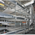 Large-Scale Iran Automatic Poultry Farm Equipment Design Chicken